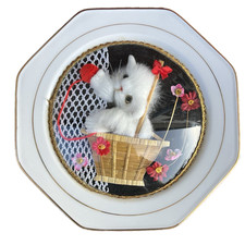 Assiette décorative vintage verre bombé chat MCM kitsch granny core kawaii retro