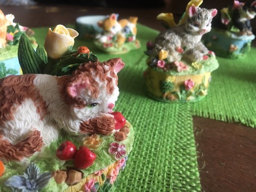 Vide poche chaton jeunes - poche,