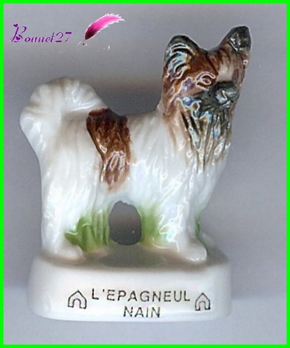 Feve les races chien - les, de