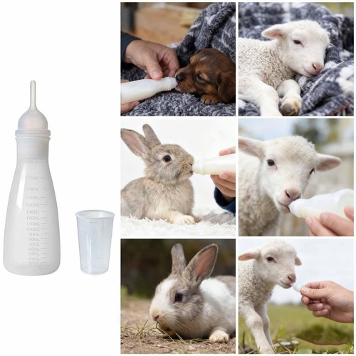 Biberon pour chat - biberon,