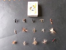 15 véritables mouches de