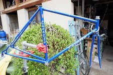 Cadre Columbus Brain - Cavallo Marino -  56