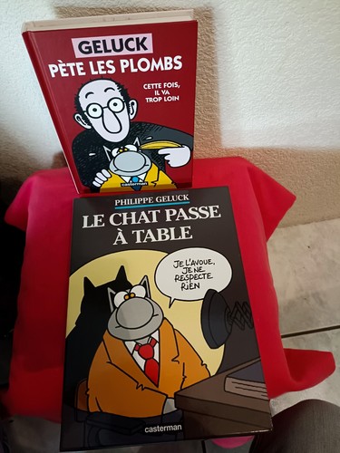 Livres geluck chat passe - geluck,