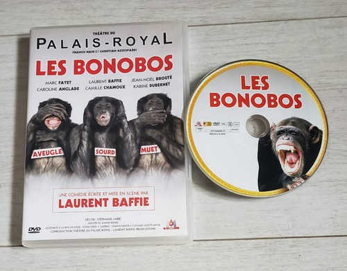 Dvd les bonobos theatre - dvd,