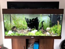 AQUARIUM JUWEL RIO BRUN 180L MULTILUX LED   Meuble   Fournitures