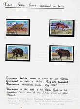 Cd Dharmsala May 1972 TIBETAN