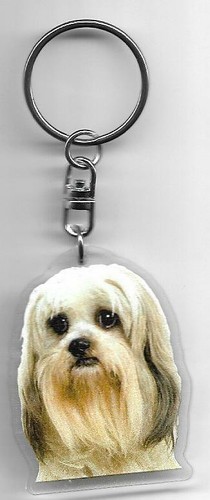 Lhassa apso chien porte - lhassa, cles