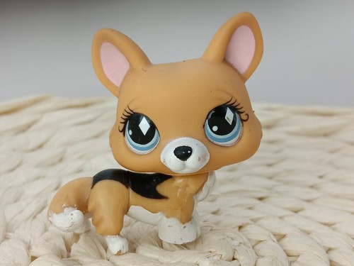 Petshop authentic lps - petshop,