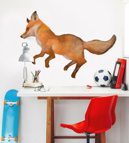 Renard mignon c53 animal - renard,