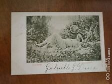 CPA - Illustrateurs - A. ACKERMANN - Hans Zatzka - Blumenrausch