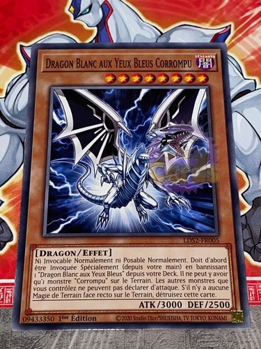 Carte dragon blanc - carte, oh