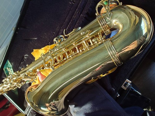 Saxophone alto selmer serie - selmer,