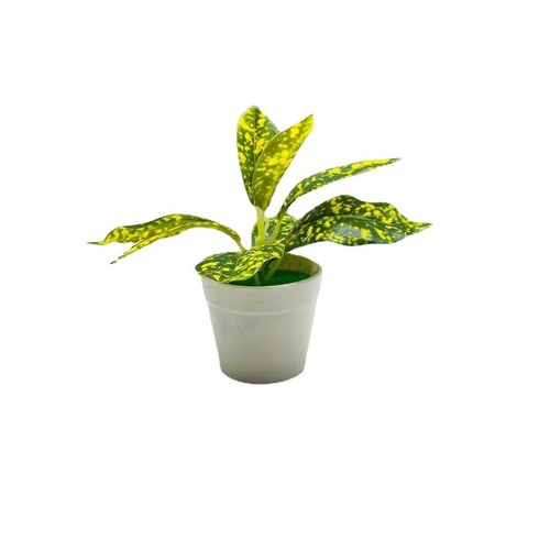 Faux plante suspendue - , décor
