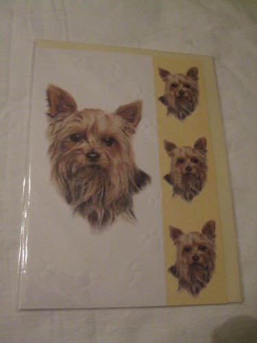 Carte enveloppe chien - -,