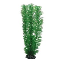 Egeria 20cm Plante en