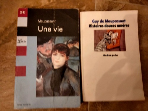 Lot livres broches de guy - de,