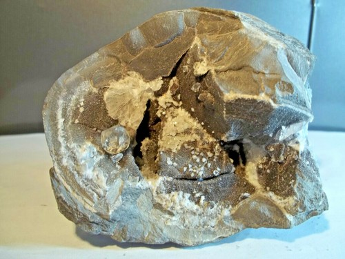 Minéraux géode septaria - gÉode,