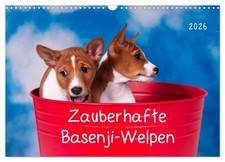 De charmants chiots basenji (Calendrier mural 2026 DIN A3 horizontal), CALVENDO 