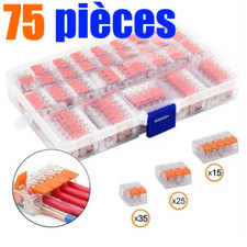 Borne Domino Wago Bornier