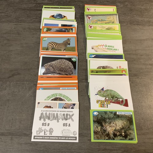 Animaux 2019 a - animaux,