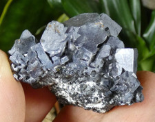 Cubes Galène & Sphalérite