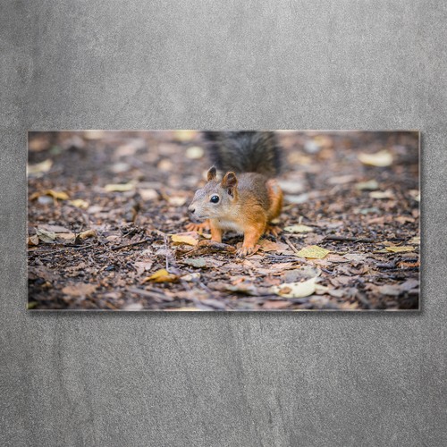 Tulup image sur - sur, verre