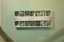 Lot pièces détachées d'horlogerie de marque MHS 237