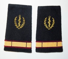 PAIRE DE FOURREAUX D'EPAULES