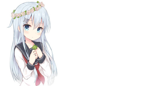 Kantai collection hibiki - collection,