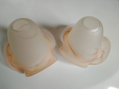 Paire tulipes pate de - de,