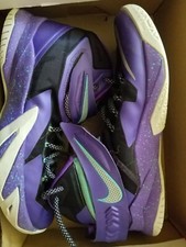 Nike Lebron Soldier 8 Hornets