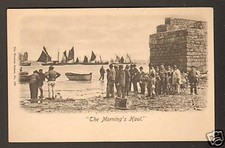 ECOSSE / Attelages d'ANES et