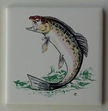 Carreau mural en faïence blanche - omble chevalier  -prix très bas liquidation