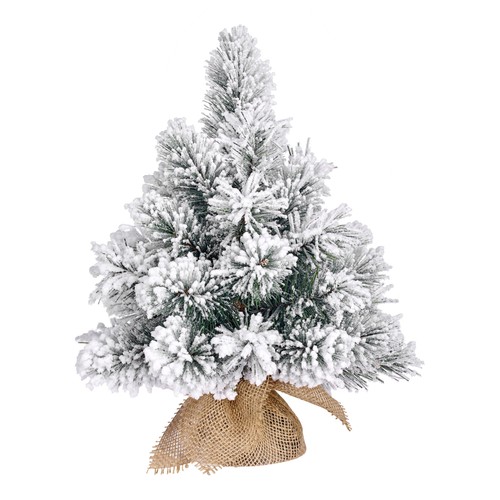 Black box trees dinsmore - box,
