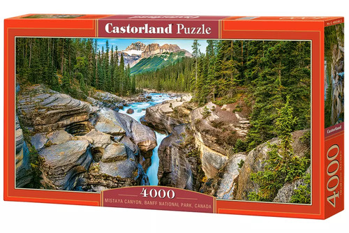 5904438400348 puzzle 4000 - 5904438400348,
