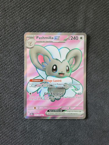 Pashmilla 105 086 - pashmilla, ex