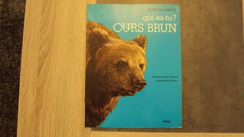 Qui ours brun - ?, bêtes