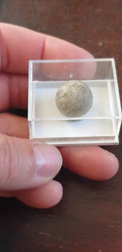 Balle mousquet musket ball - mousquet,