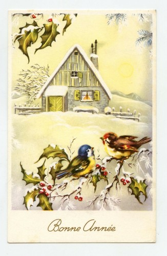 Bonne année oiseaux - bonne,