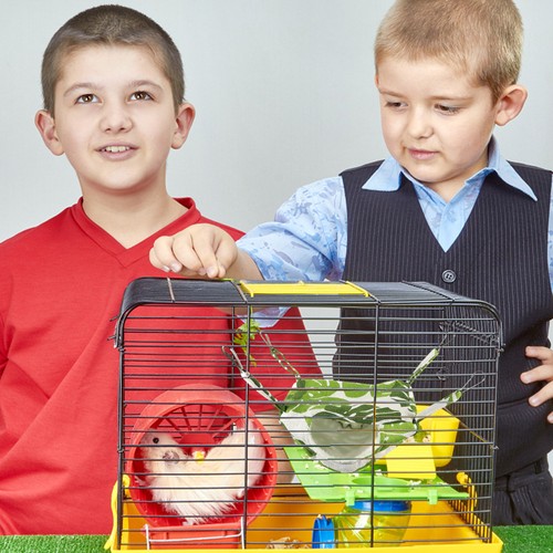 Lit pour hamster petit - pour, animaux