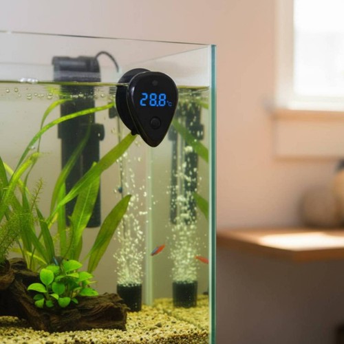 Thermomètre aquarium avec - thermomètre, d'aquarium