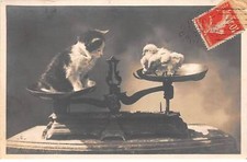 Chats - n°82098 - Un chat et un poussin, chacun sur un plateau d'une balance