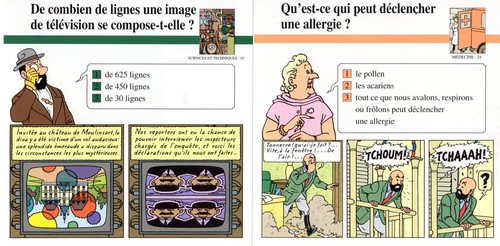 Lot numero 2 - lot, 5