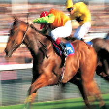 METHODE de TURF : LA GRILLE