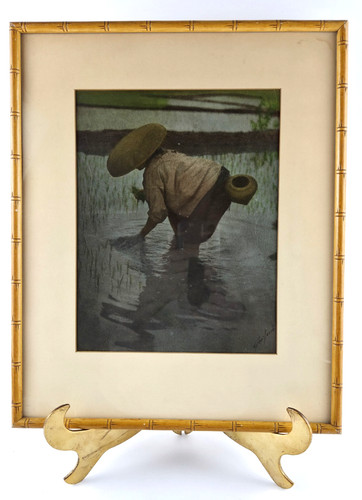 Vintage asian rice - picker, art
