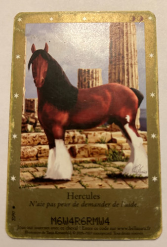 Carte bella sara - bella, 20/97