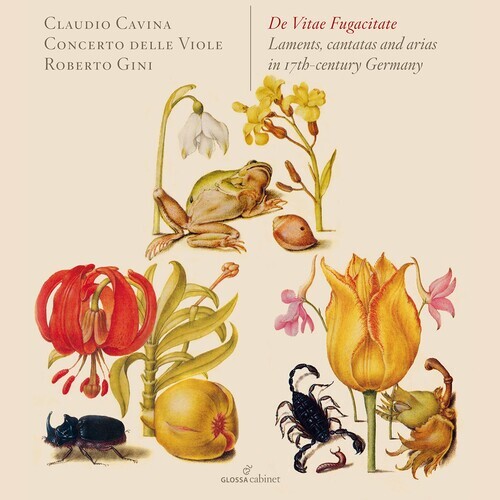 Concerto delle viole de - concerto,