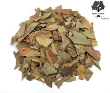 Feuilles de Ginkgo Biloba