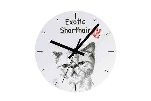 Montre exotique cuir - cuir, avec