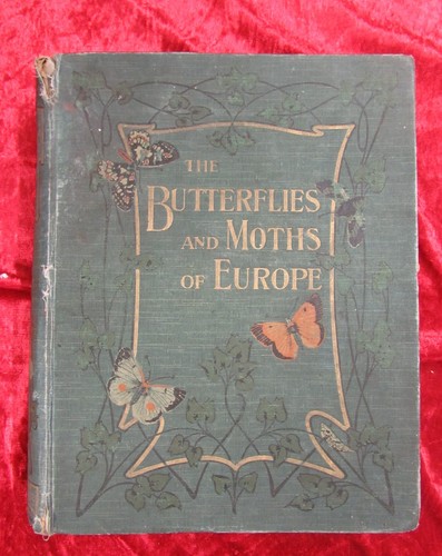 The butterflies and - butterflies, moths